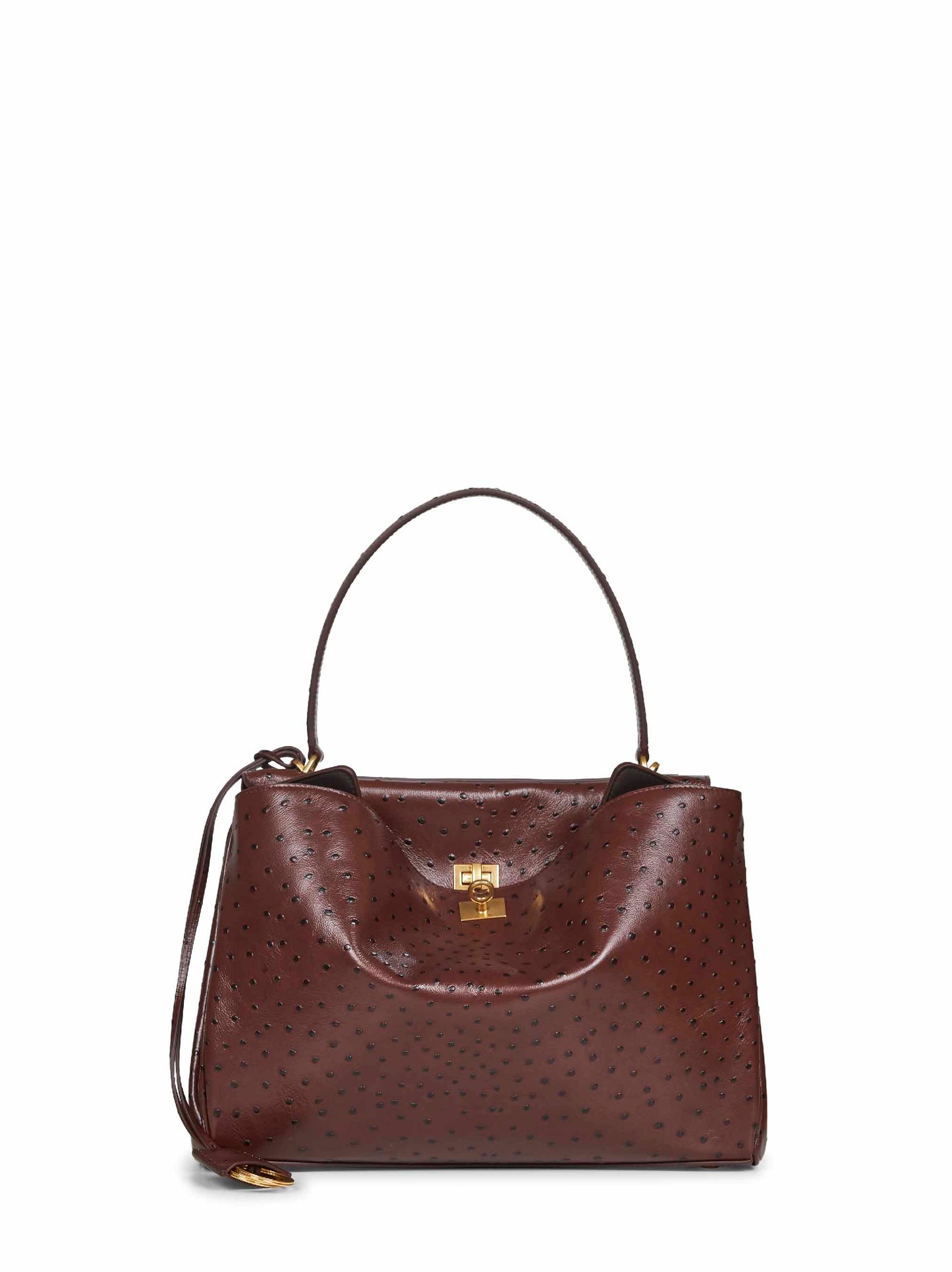 Brown Rodeo Medium handbag