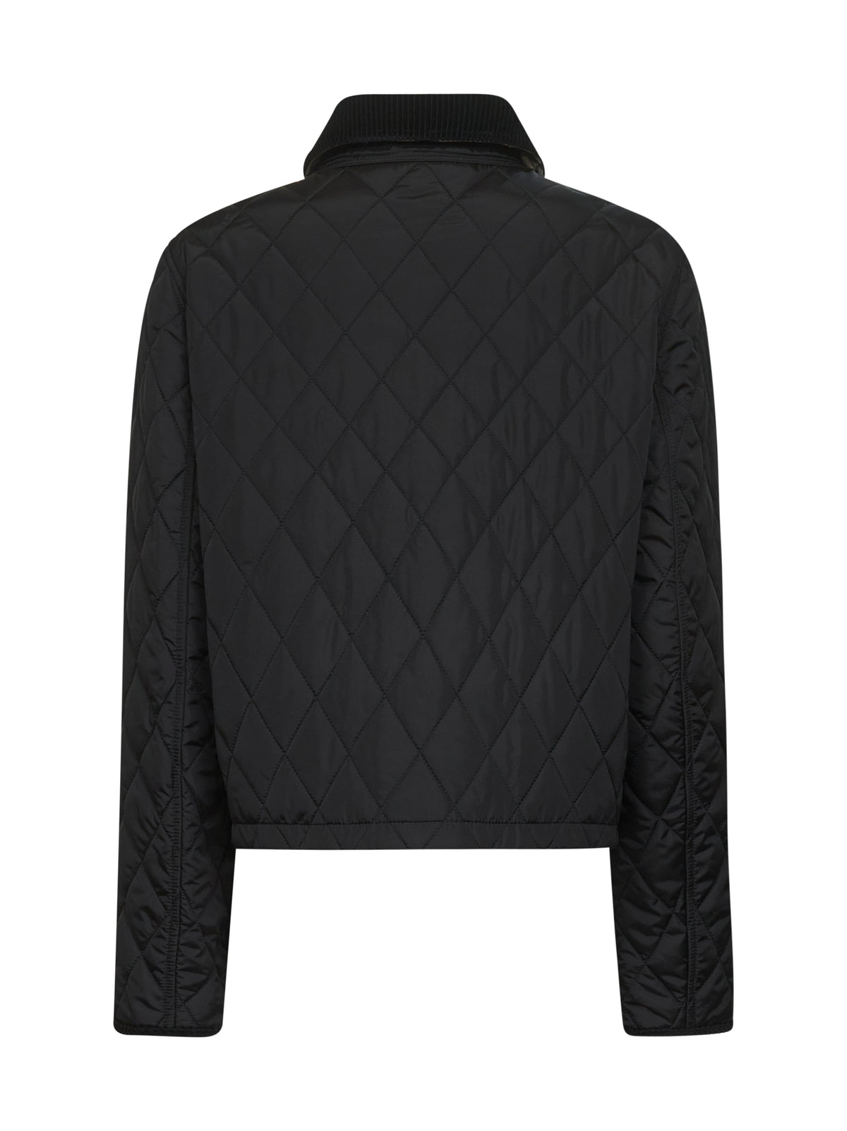 8107465-C1900 BURBERRY