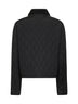 8107465-C1900 BURBERRY