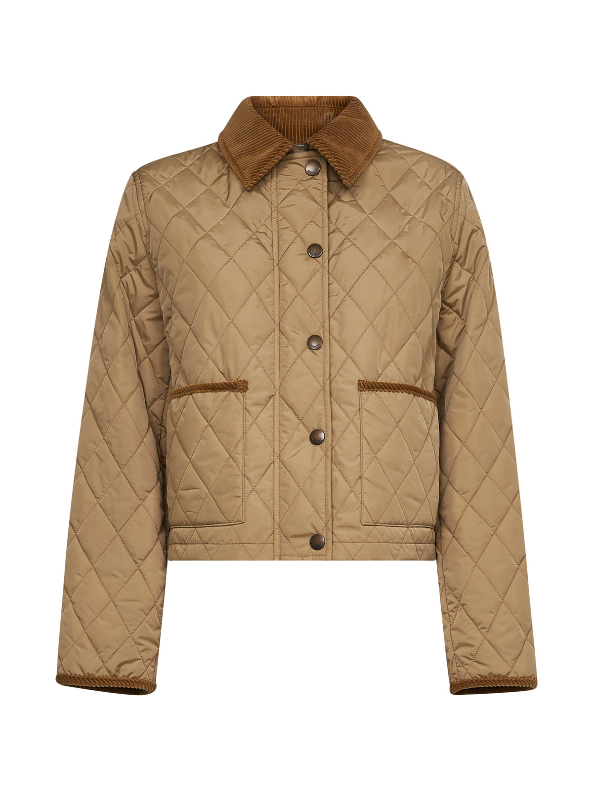 8107466-C1544 BURBERRY