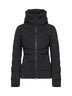 2332WB-9061 CANADA GOOSE