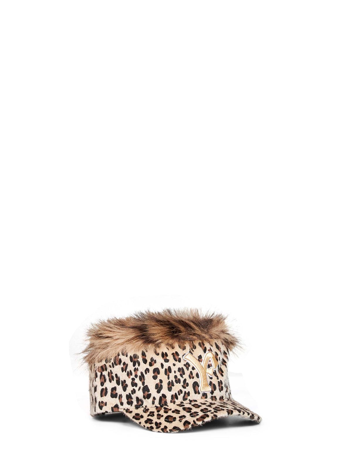 DFM58042C0010PXBEIGE PDF