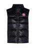cypress vest