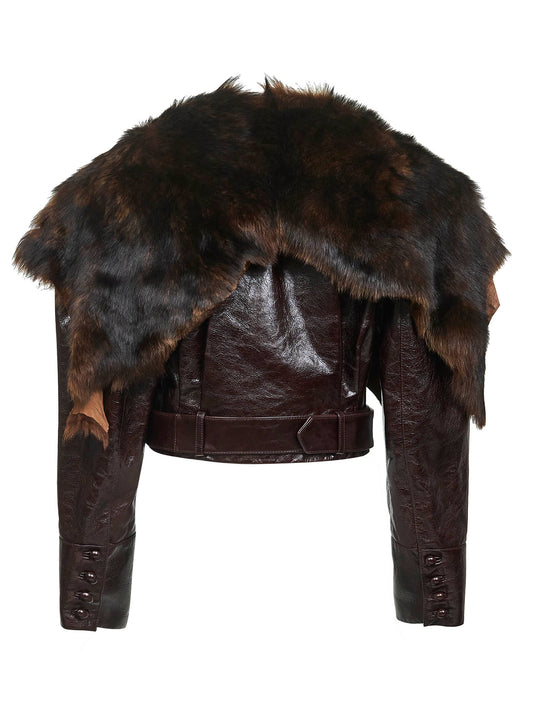 Brown leather cropped jacket with shearling collar