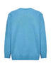 Light blue Lambswool GRS Crewneck Lens sweater