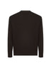 Maglia relaxed-fit in lana vergine marrone
