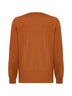 Brown crewneck sweater