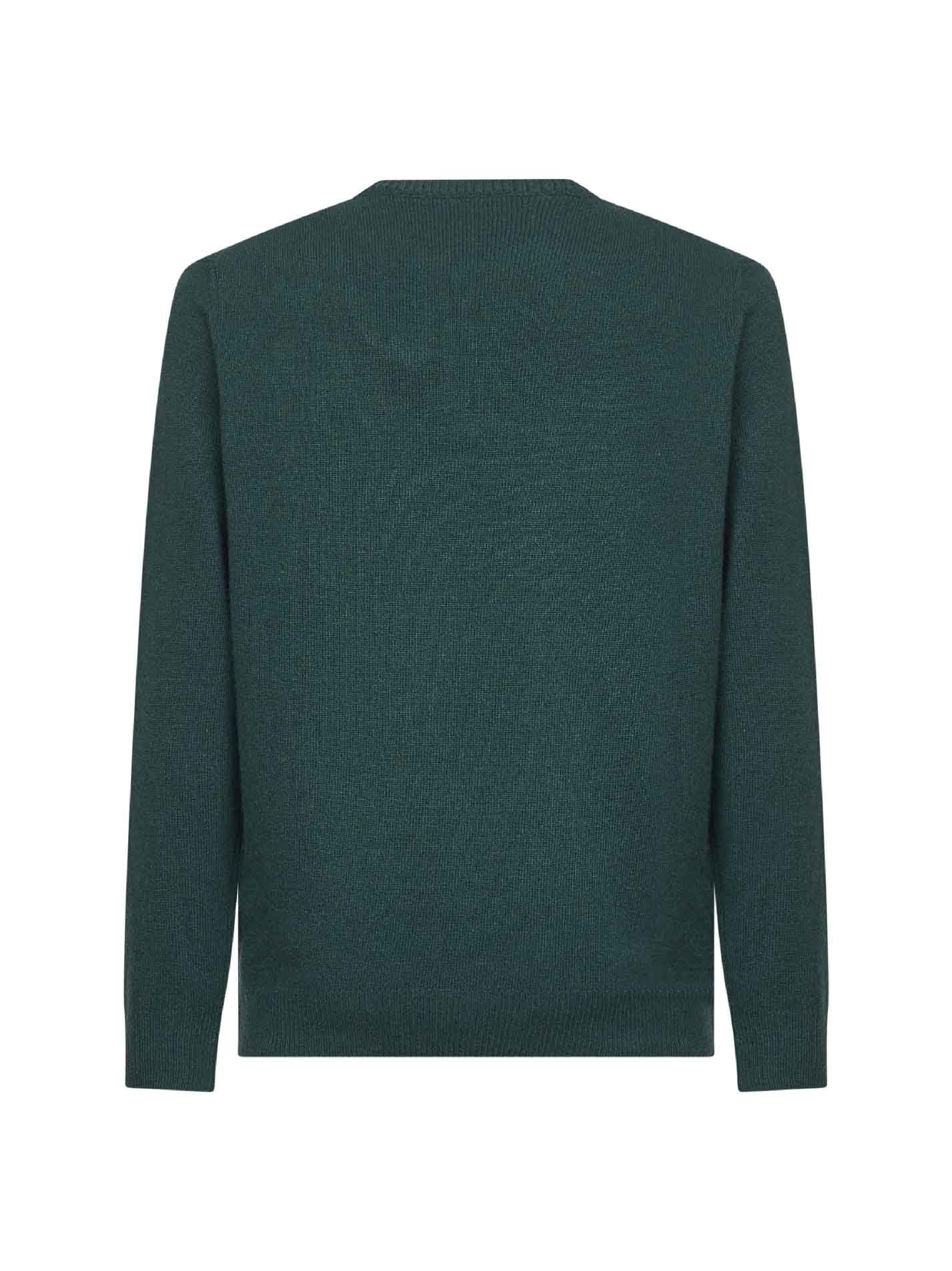 Green Heron embroidered sweater