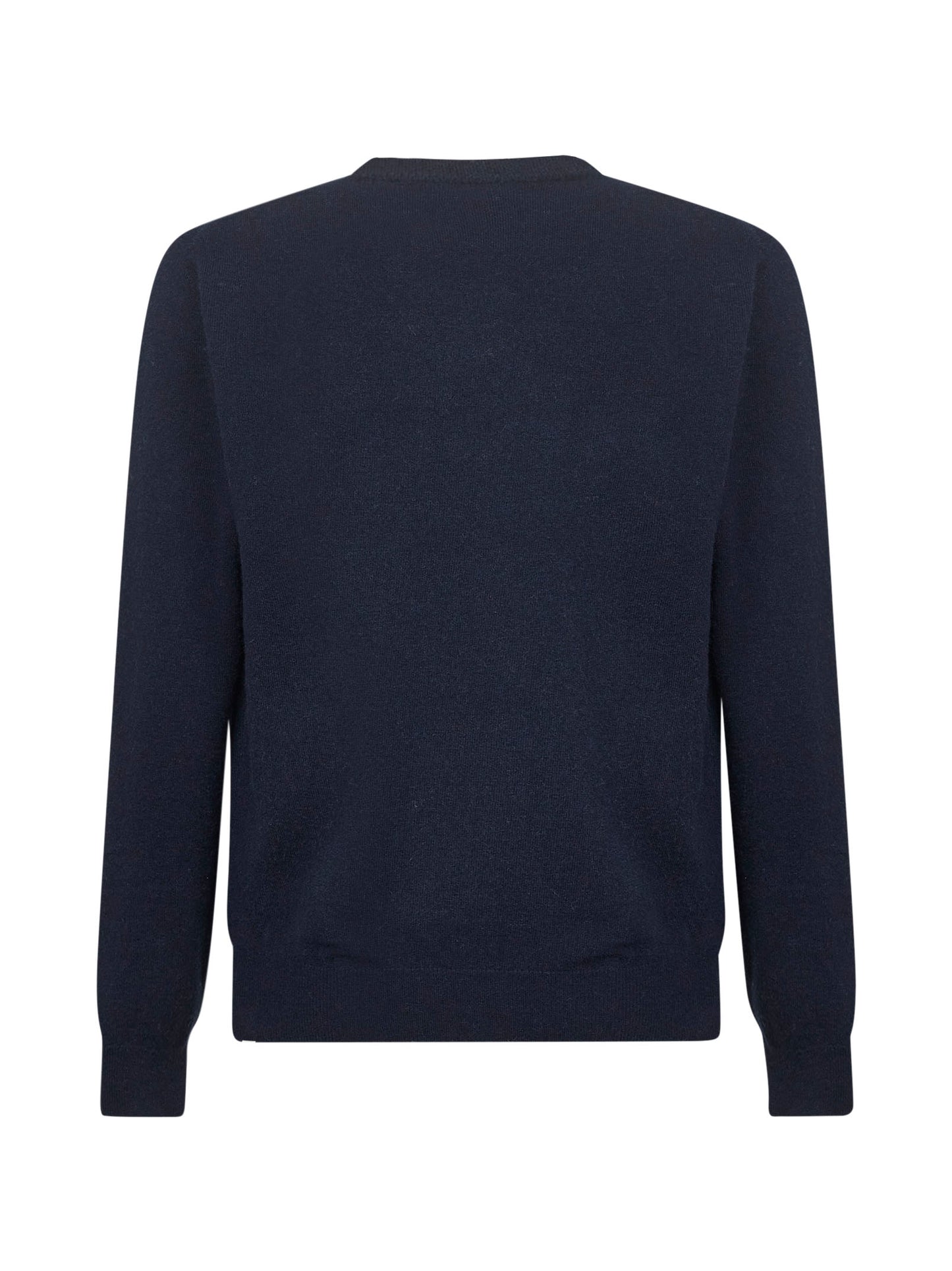 Blue Heron Light embroidered crewneck sweater