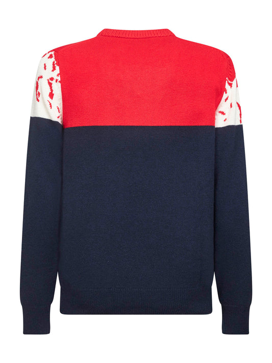 Wool blend jacquard postcard Heron sweater