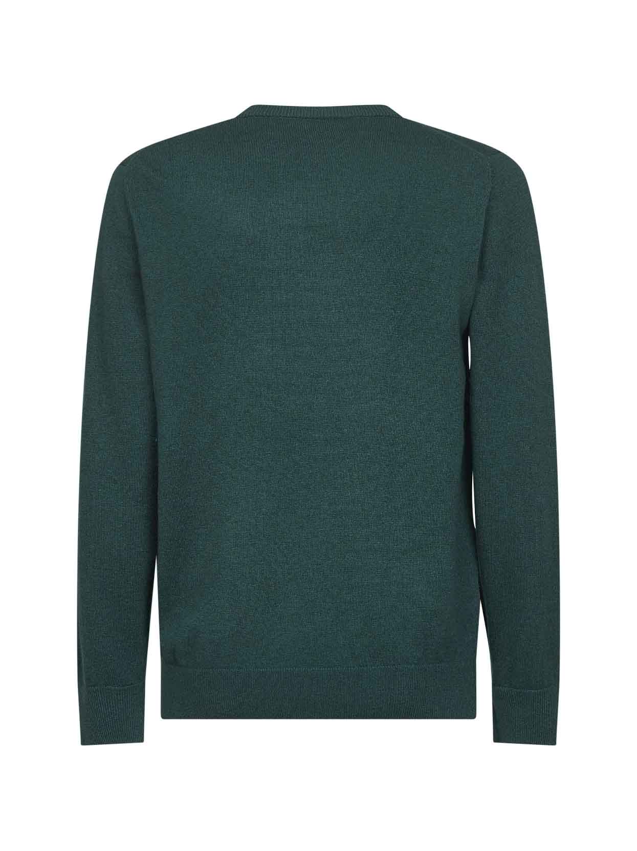 Green Heron Light embroidered sweater