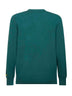 Green Heron Light embroidered sweater