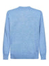 Light blue Heron Light embroidered sweater