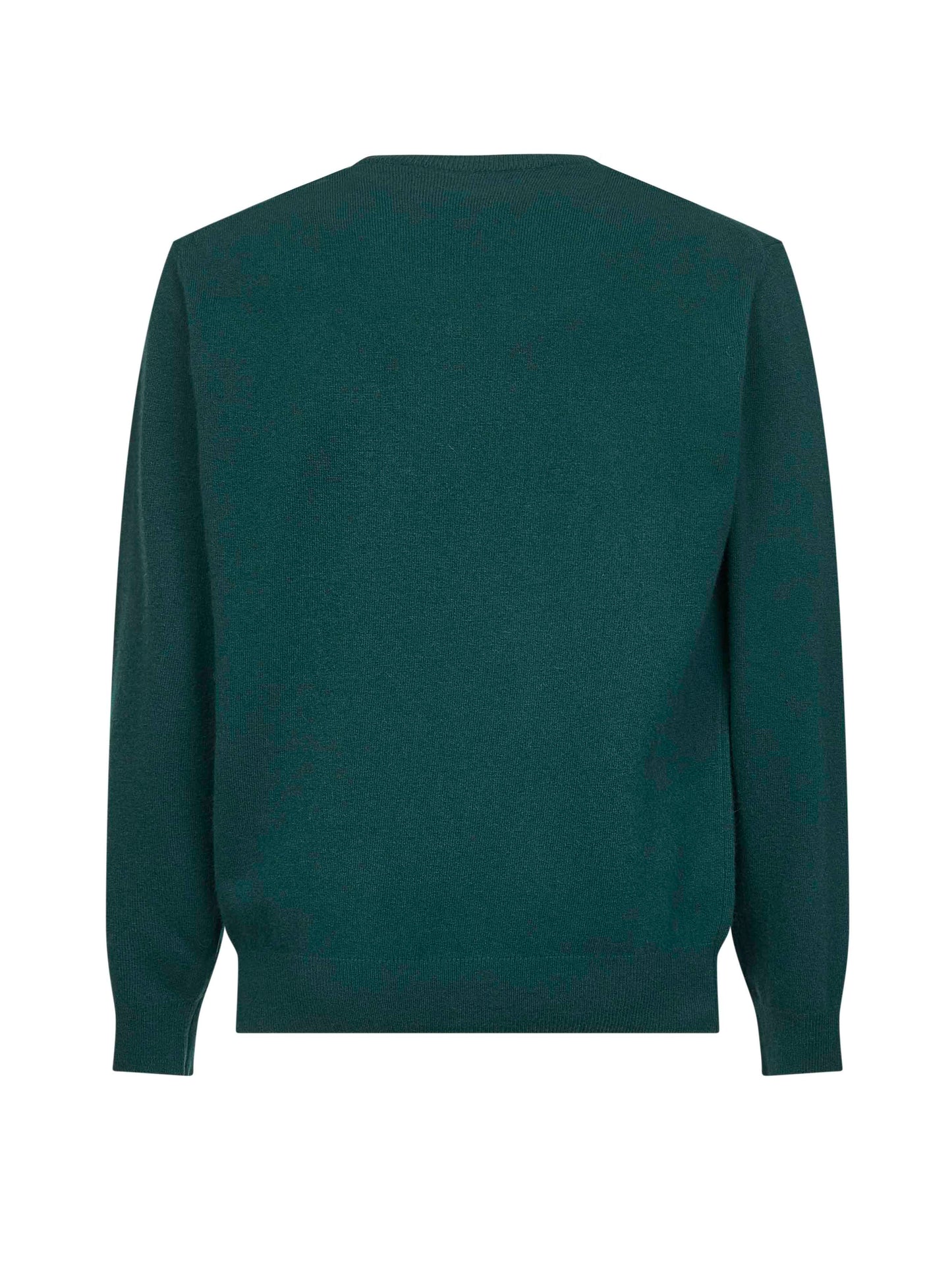 Green Heron Light embroidered sweater