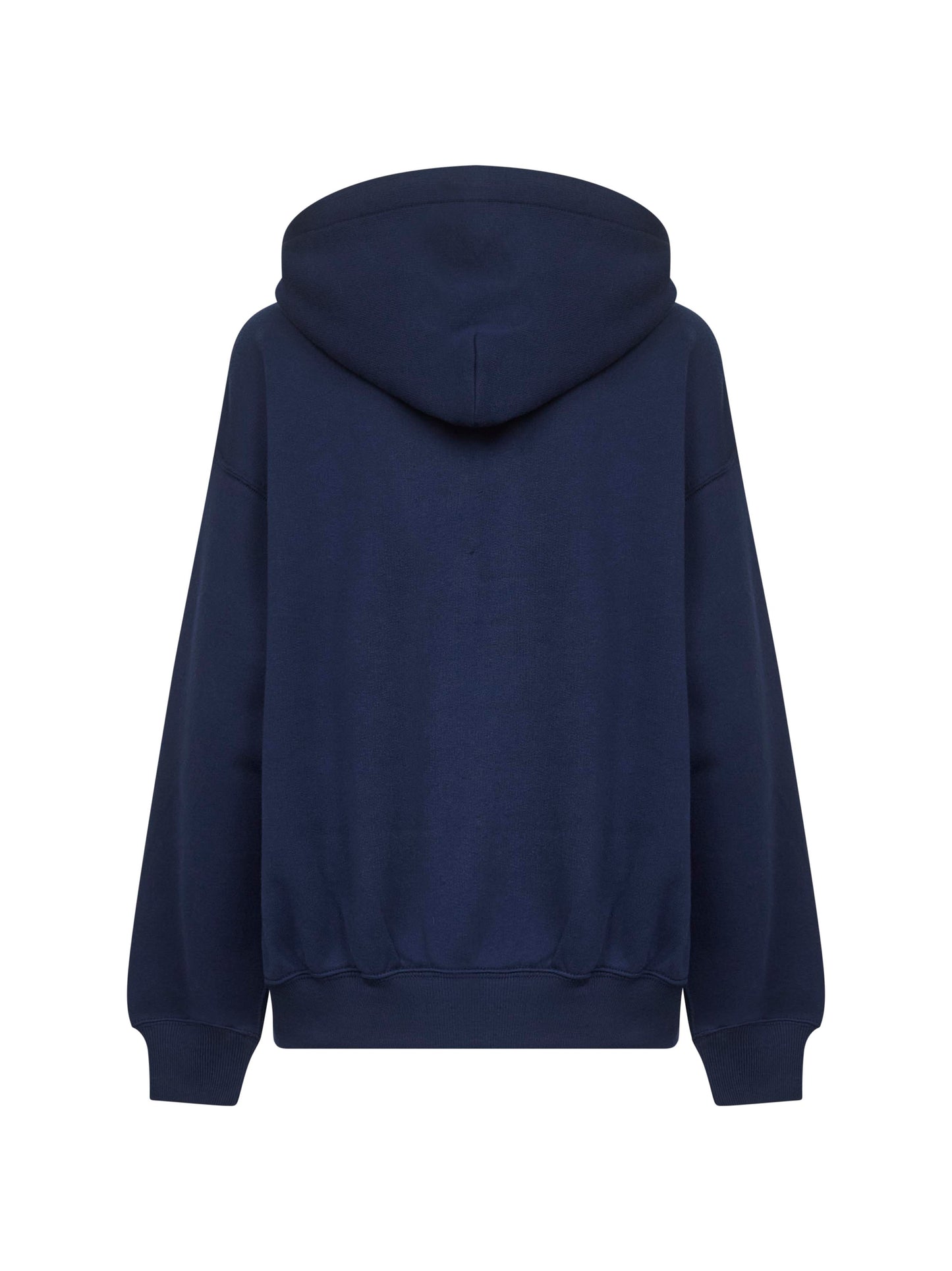 Blue Polo Bear hoodie