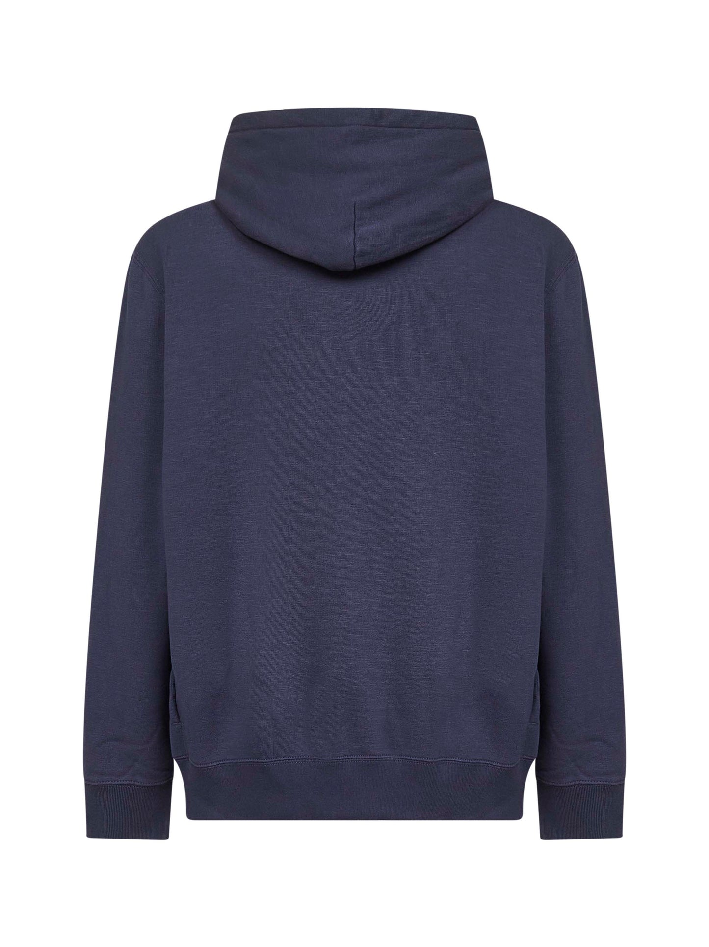 Blue Polo Bear hoodie