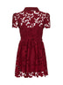 Miniabito in pizzo floreale bordeaux