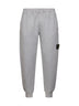 Pantaloni jogger in felpa di cotone biologico garzato grigio