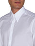 Camicia in cotone con colletto a punta di DOLCE & GABBANA