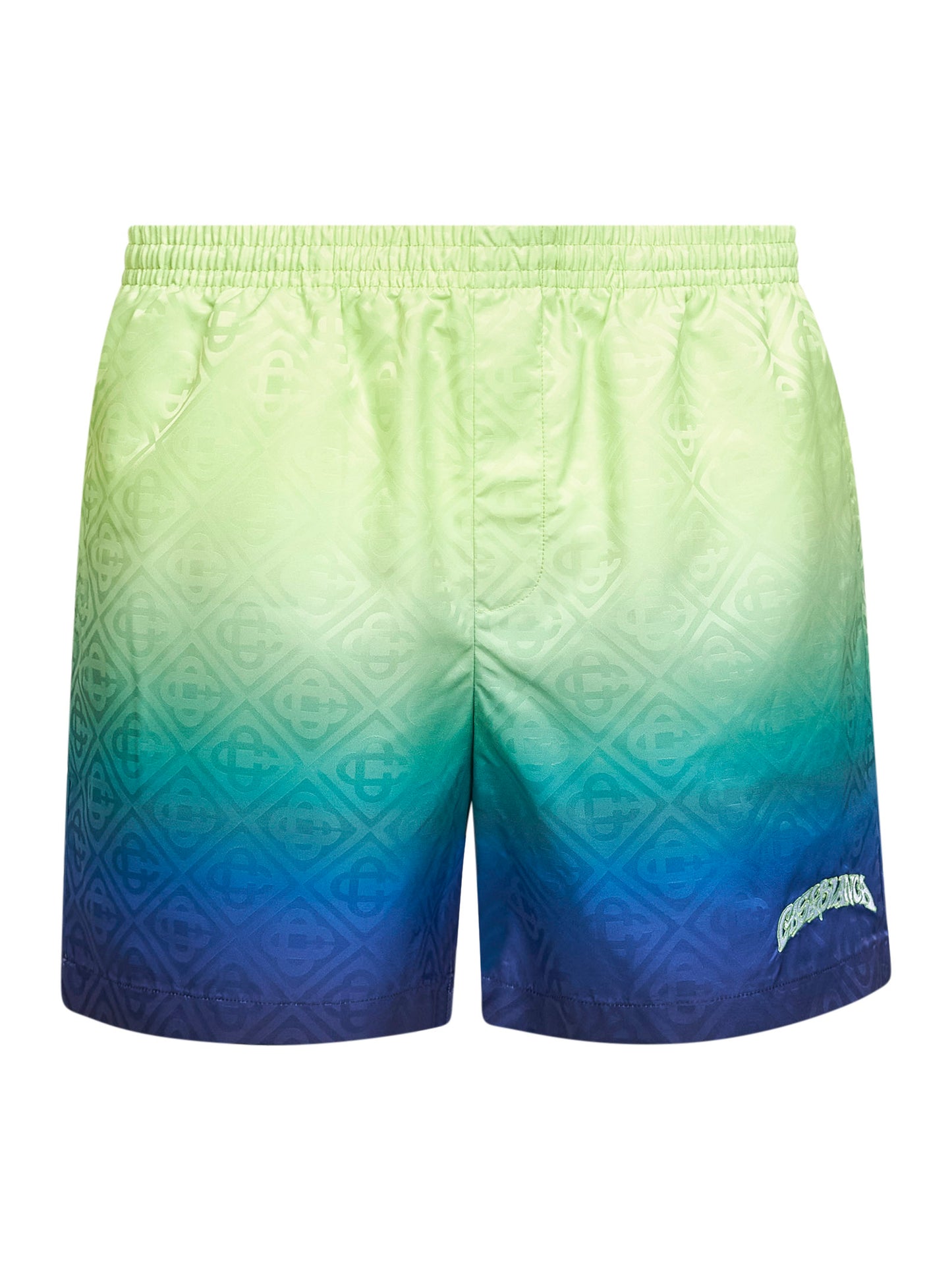Multicolor Gradient Monogram swim shorts