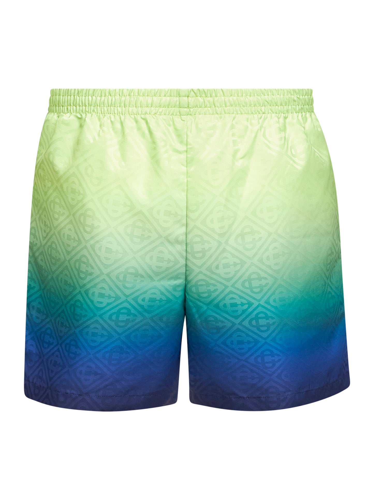 Multicolor Gradient Monogram swim shorts