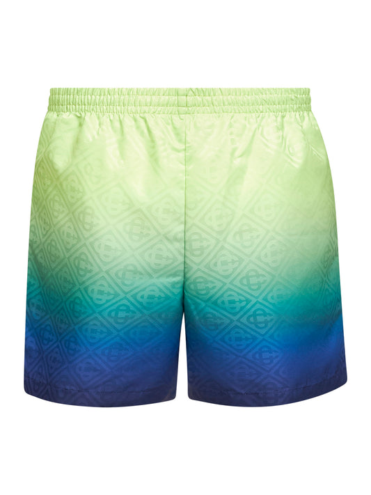 Multicolor Gradient Monogram swim shorts