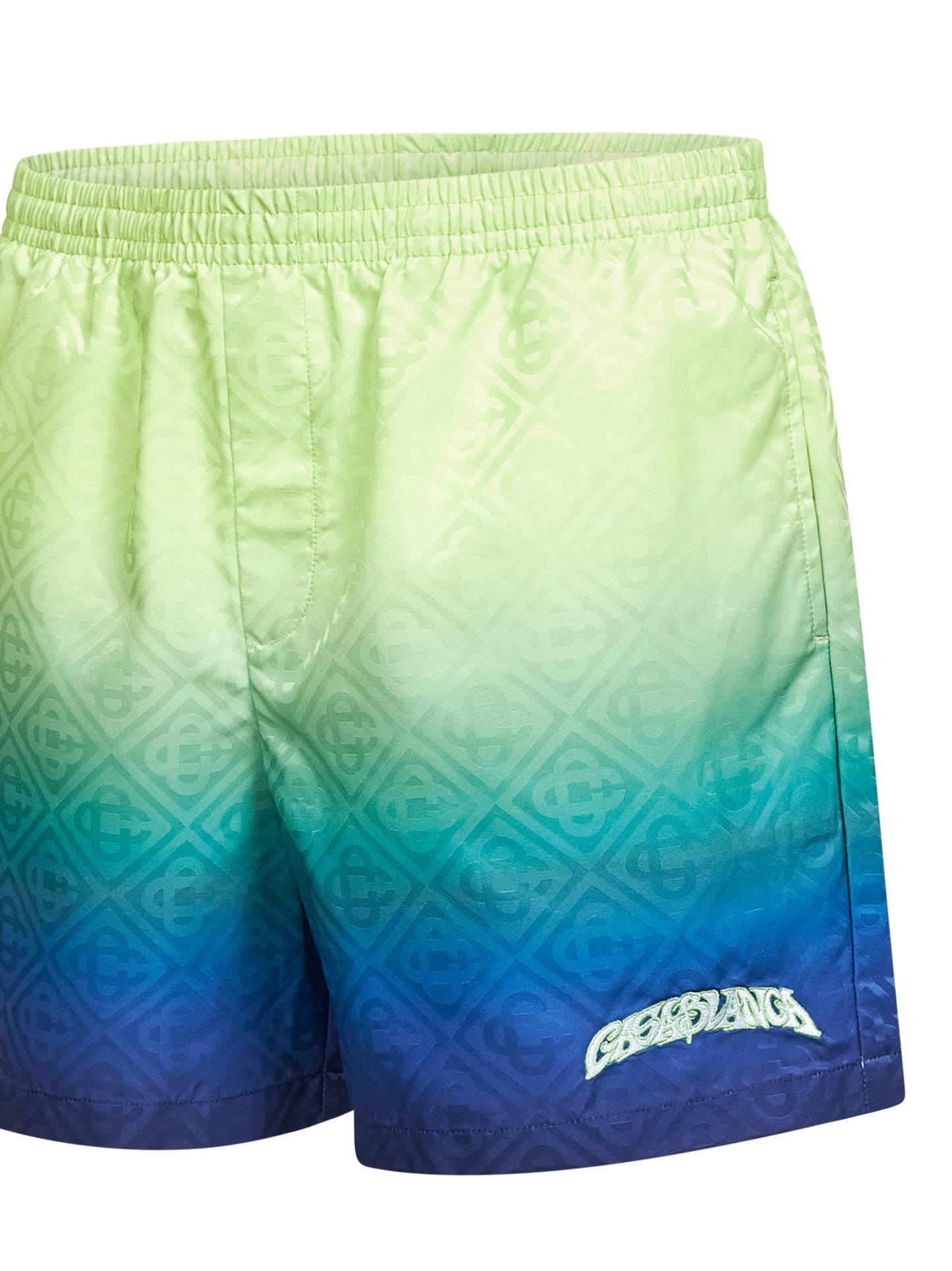 Multicolor Gradient Monogram swim shorts