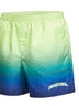 Multicolor Gradient Monogram swim shorts