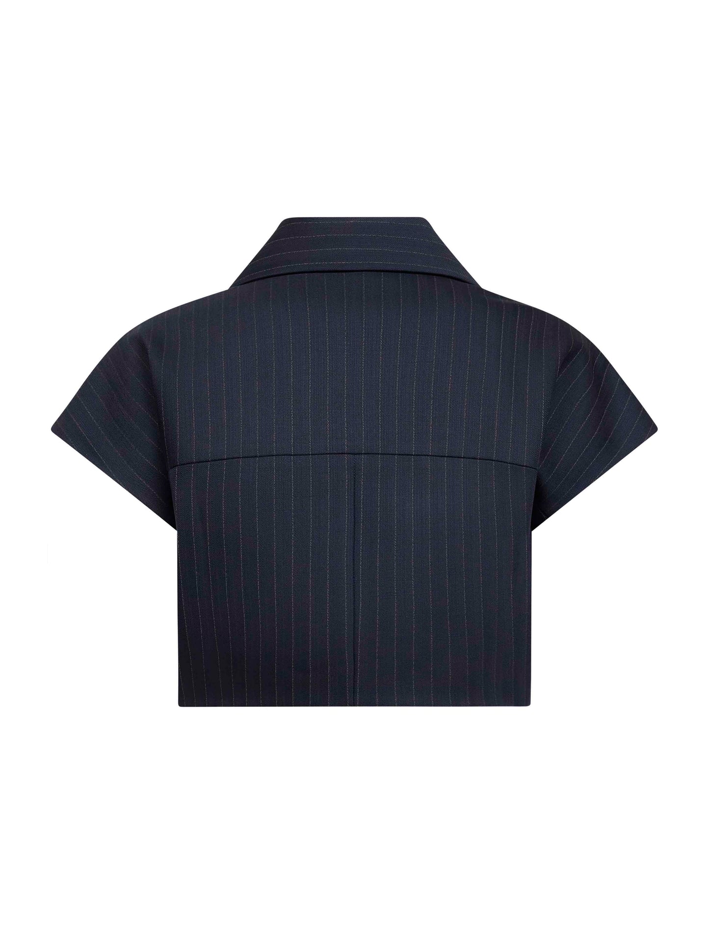 Robin blue pinstriped suiting zip-up top