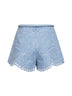 Ice Storm embroidered denim Daylight shorts